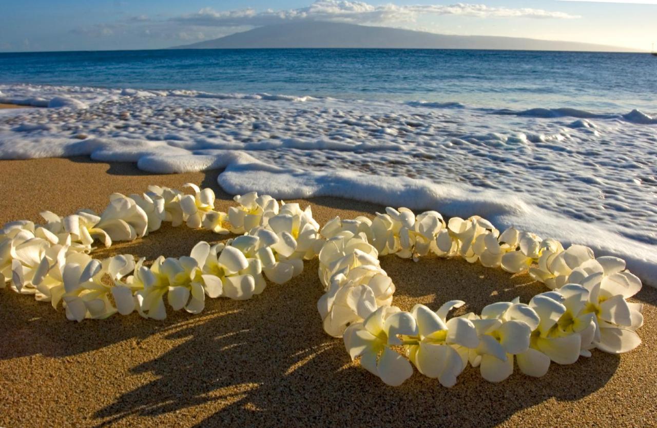 Aloha Vibes Await! Stylish Condo At Aloha Surf - Mountain And City Views Honolulu Zewnętrze zdjęcie